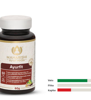 AyurFit MA 1403 – Ayurveda Nahrungsergänzung mit Kräutern & Zink