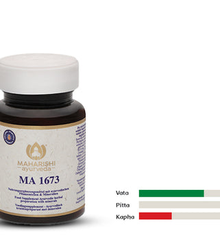 MA 1673 – Ayurveda Nahrungsergänzung mit Kräutern und Mineralien