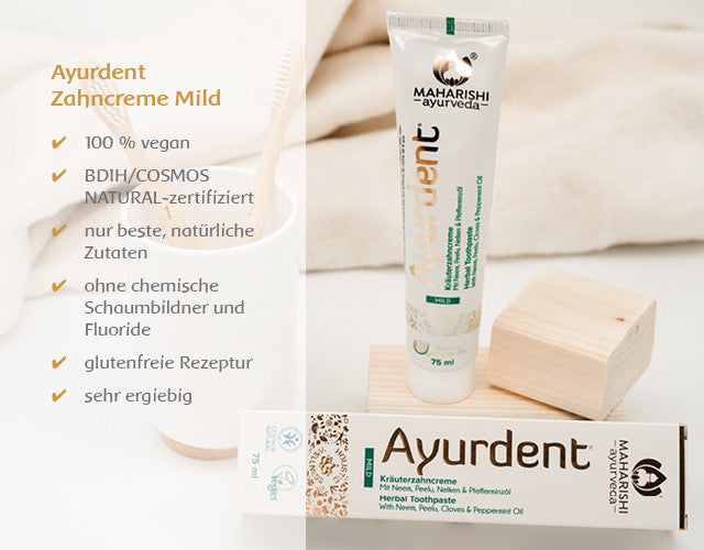 Ayurdent Toothpaste Mild, kNk