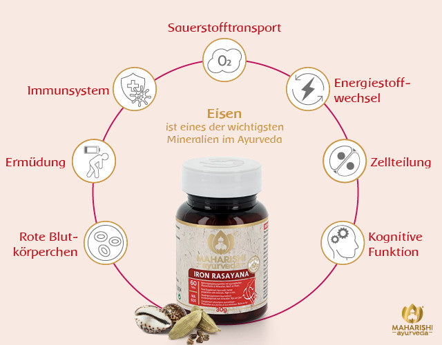 Iron Rasayana I MA 600