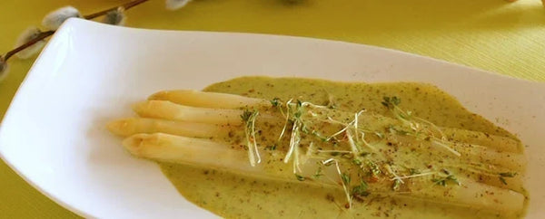Weißer Spargel auf Kresseschaum
