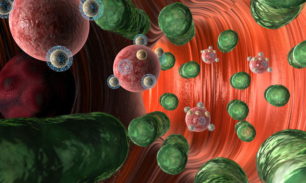 Ayurveda und Mikrobiom