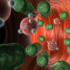 Ayurveda und Mikrobiom