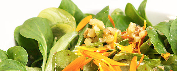 Zarter Feldsalat mit Ringelblüten und Walnuss-Ingwer-Dressing