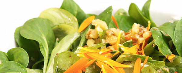 Zarter Feldsalat mit Ringelblüten und Walnuss-Ingwer-Dressing