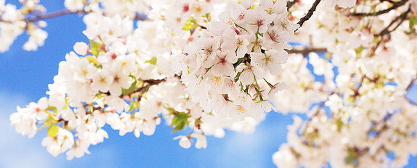 Fit durch den Frühling