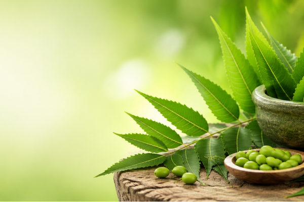 Neem im Ayurveda