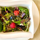 Bunter Sommersalat