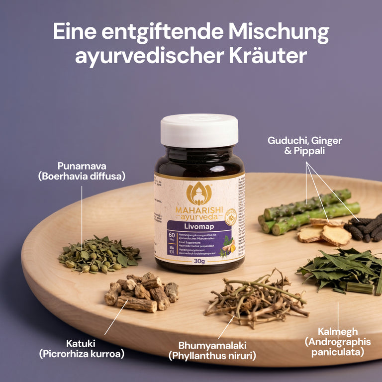Livomap, Tabletten | MA 937