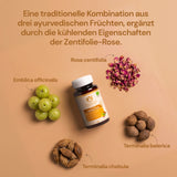 Triphala Plus (organic), 60 g