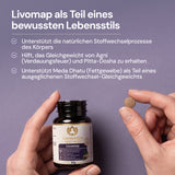 Livomap, Tabletten | MA 937