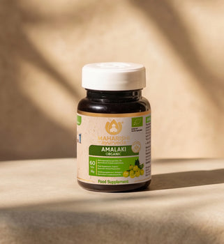 Amalaki Bio Super Herb – Amla Nahrungsergänzung, Bio Ayurveda Kräuter