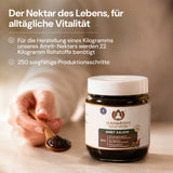 Amrit Kalash - MA 4 Frucht – und Kräuterzubereitung