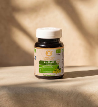 Amalaki Organic Super Herb – Amla Food Supplement, Organic Ayurvedic Herbs