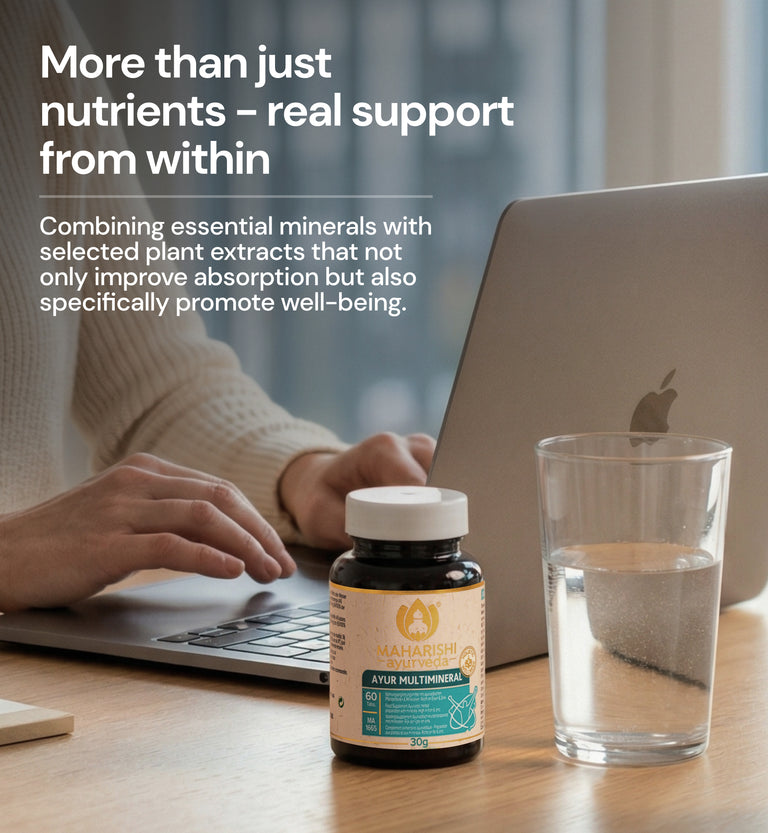 Ayur Multimineral MA 1665 – Complément alimentaire ayurvédique, fer et zinc