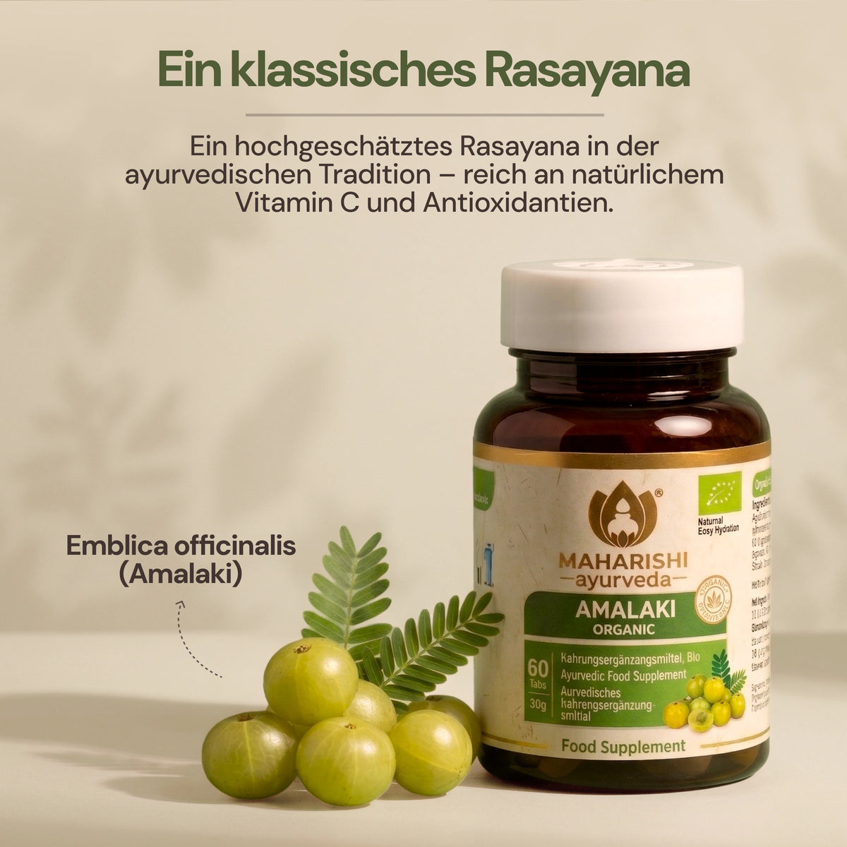 Ayurvedische Ernährung und Lebensweise