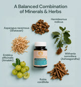 Ayur Multimineral MA 1665 – Complément alimentaire ayurvédique, fer et zinc