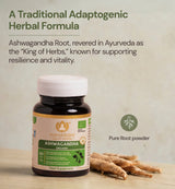 Ashwagandha Organic Super Herb – Ashwagandha Supplement, Organic Ayurvedic Herbs