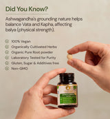 Ashwagandha Organic Super Herb – Ashwagandha Supplement, Organic Ayurvedic Herbs
