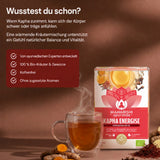 Thé bio Kapha Energise