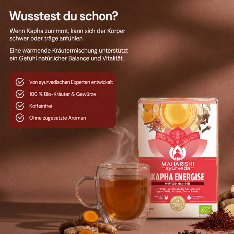Thé bio Kapha Energise