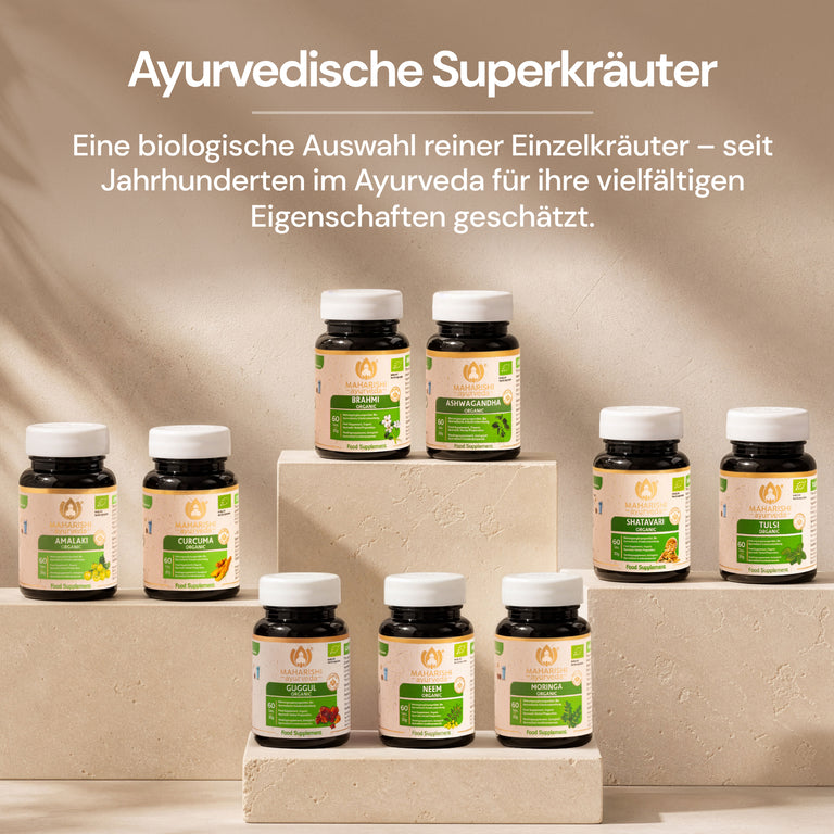 Amalaki Organic Super Herb – Amla Food Supplement, Organic Ayurvedic Herbs