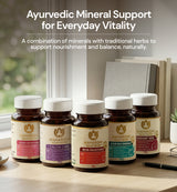 Ayur Multimineral MA 1665 – Complément alimentaire ayurvédique, fer et zinc