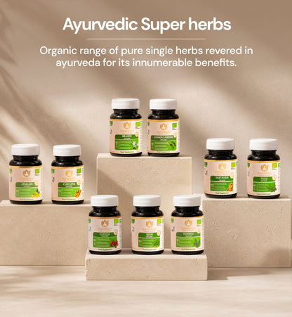 Amalaki Organic among Ayurvedic Super Herb supplements