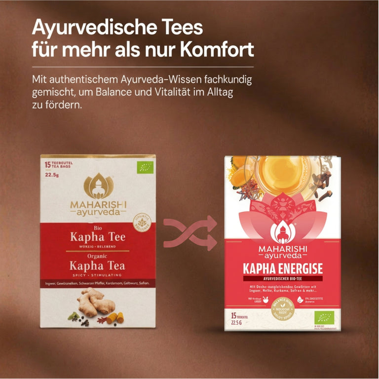 Thé bio Kapha Energise