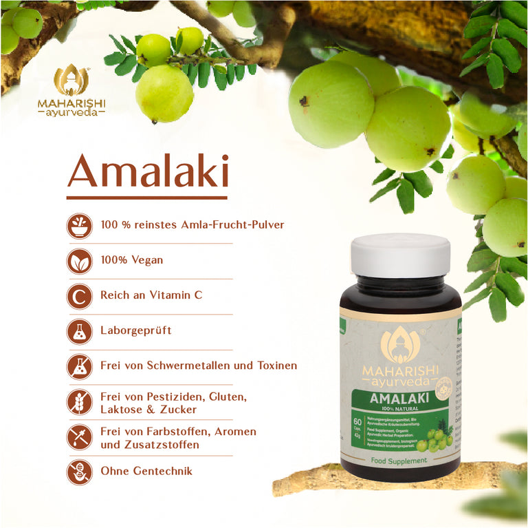 Amalaki Natural (Amla Frucht)