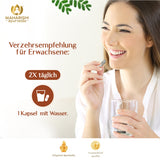 Amalaki Natural (Amla Frucht)