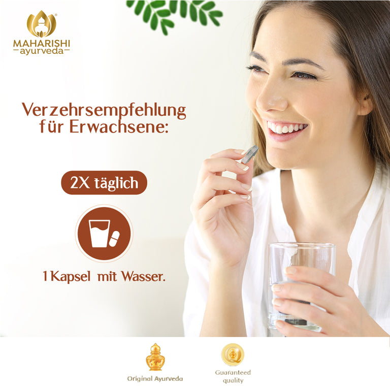 Amalaki Natural (Amla Frucht)