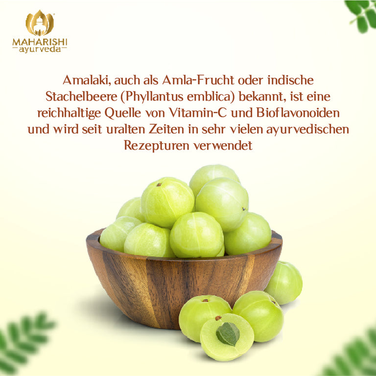 Amalaki Natural (Amla Frucht)