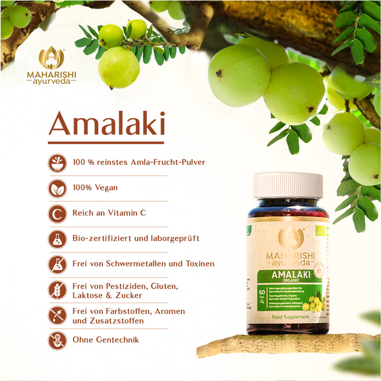 AMALAKI Bio (Amla Frucht)