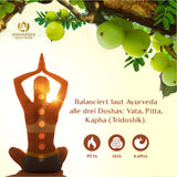 AMALAKI Bio (Amla Frucht)