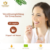AMALAKI Bio (Amla Frucht)