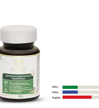 AyurImmun MA 1000 – Ayurveda Nahrungsergänzung mit Kräutern