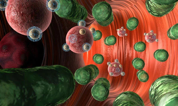 Ayurveda und Mikrobiom