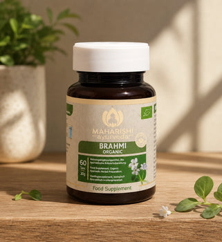Brahmi Bio Super Herb – Brahmi Nahrungsergänzung, Bio Ayurveda Kräuter