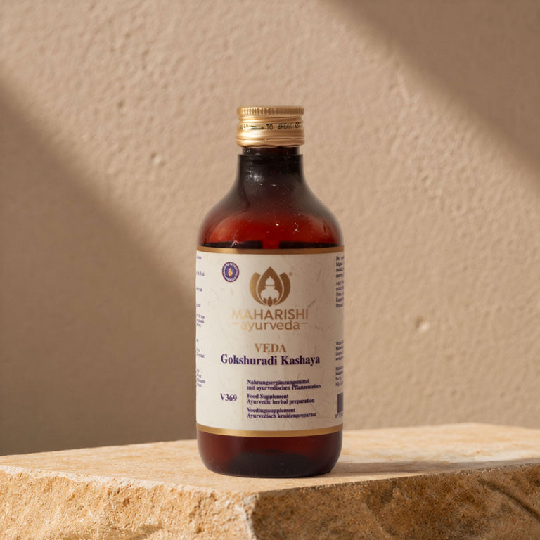 Gokshuradi Kashaya V369 – Complément alimentaire ayurvédique aux herbes