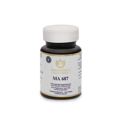 MA 687