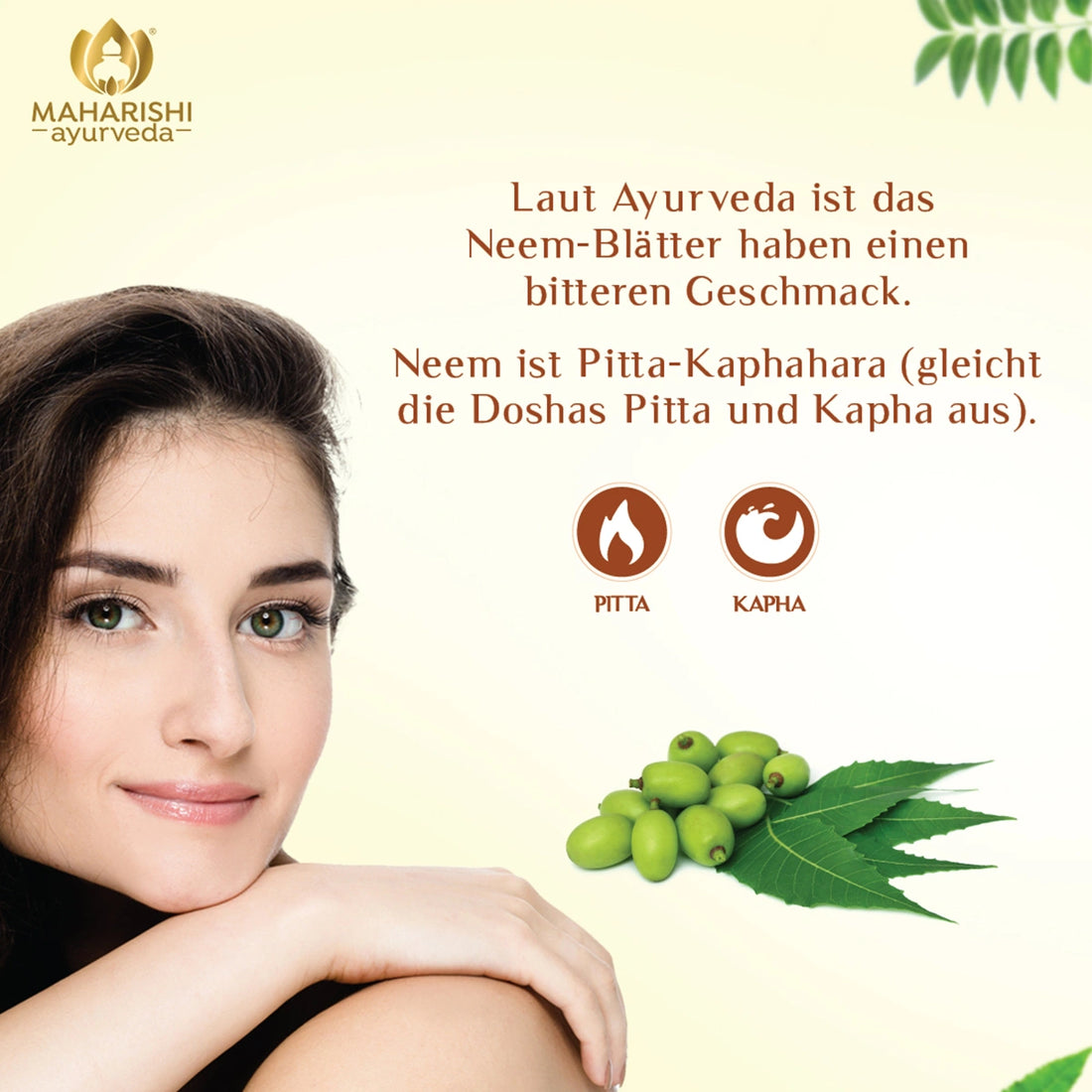 Neemblätter und Neemfrüchte zur Unterstützung der Pitta-Kapha-Balance