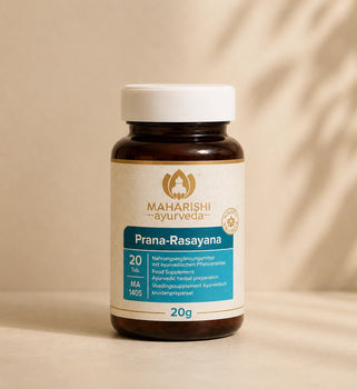 Prana-Rasayana MA 1405 – Ayurveda Nahrungsergänzung mit Kräutern