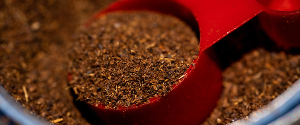 Koffeinfreie Wellness-Getränke für deine tägliche Routine