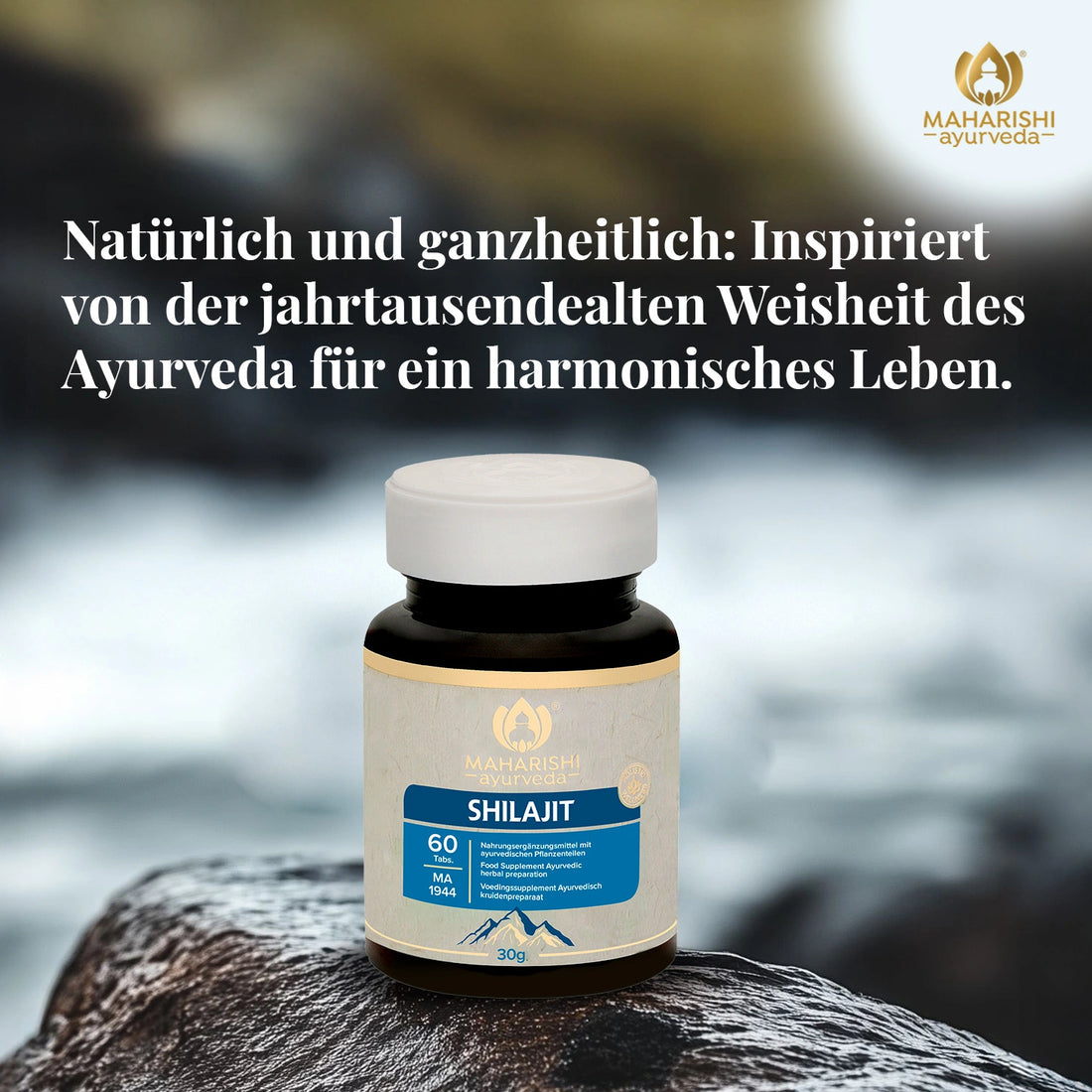 Shilajit Produkt