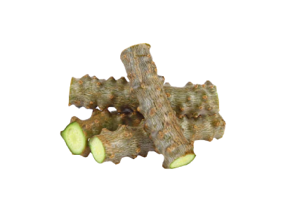 Tinospora cordifolia (Guduchi) 