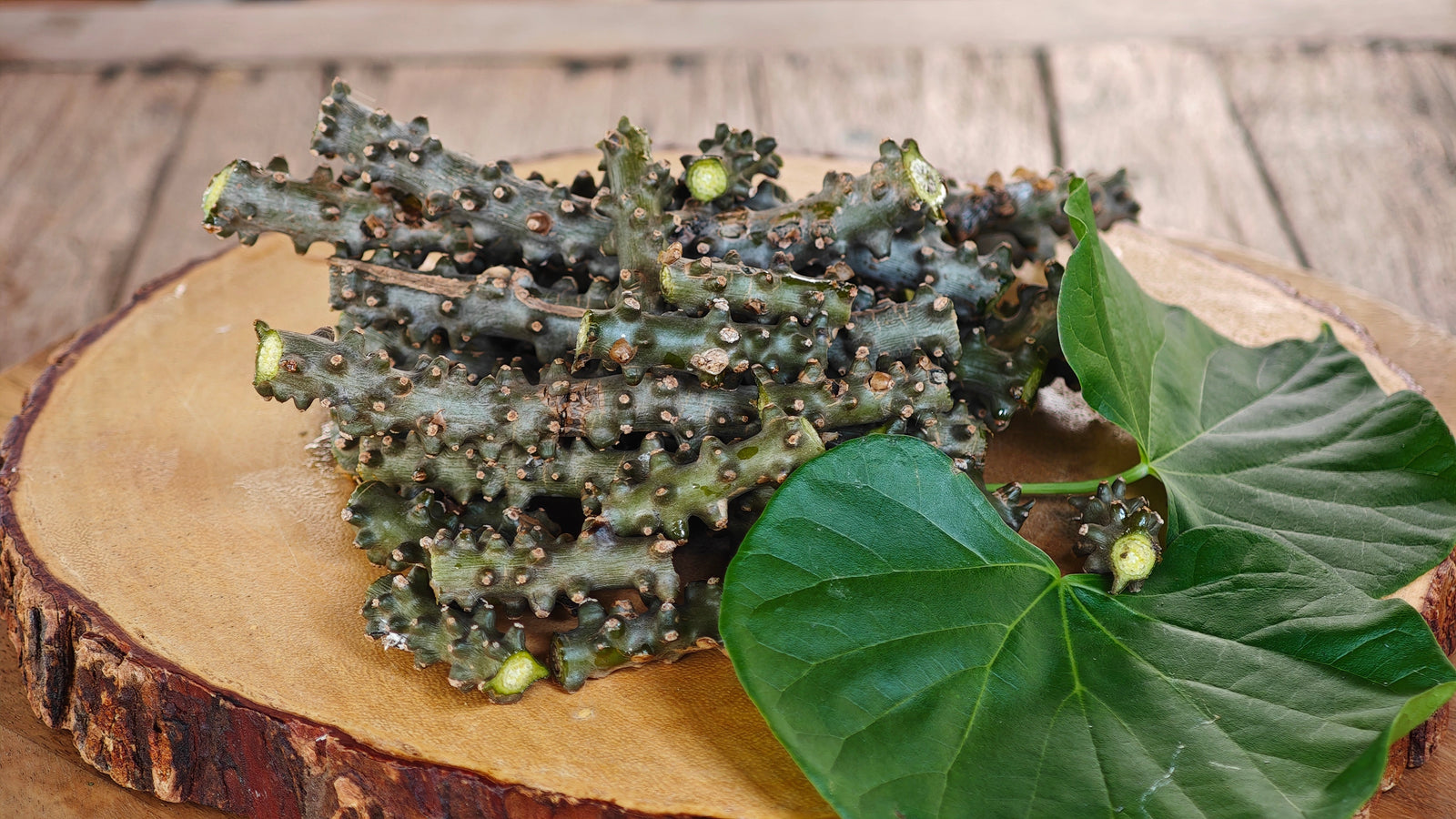 Tinospora cordifolia (Guduchi)