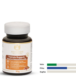 Triphala Guggulu MA 7970 – Ayurveda Nahrungsergänzung mit Kräutern