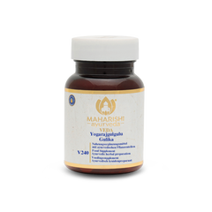 Yogarajgulgulu Gulika V240 – Ayurvedic dietary supplement with herbs
