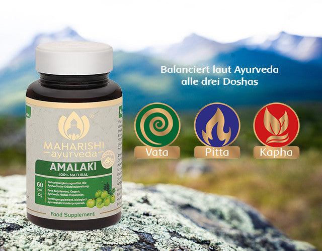 Amalaki Natural (Amla Frucht)